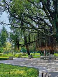 【中山公園】有中式庭院+動物園+相親角，得閒來逛逛吧