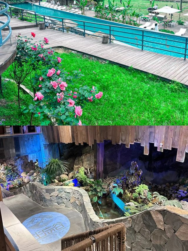 浙江麗水坐忘谷，適合遛娃玩的好地方~