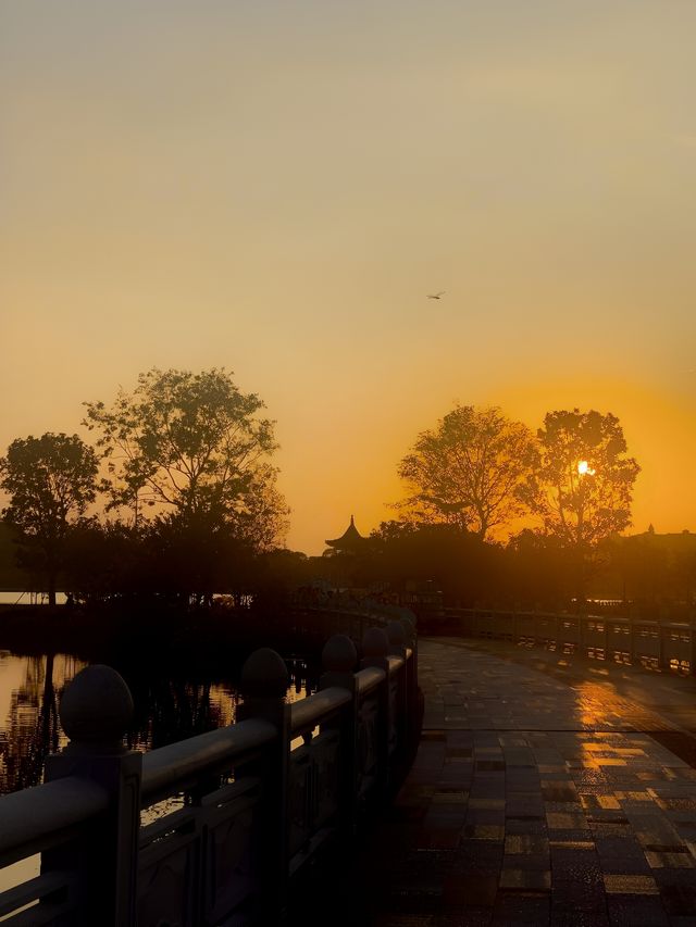 允許現在你還不知道這個公園