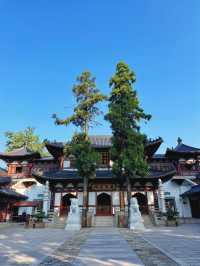 逃離城市喧囂，在深山秘境療癒禪修養心