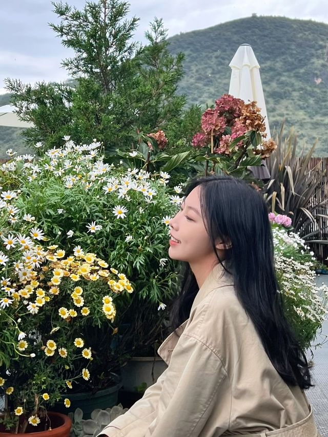 聽勸！來麗江看日照金山直接來這裡就行了！！。