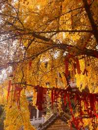 一片寧靜祥和的淨土，三柱香煙裊裊升騰，祈願所求皆能如願。