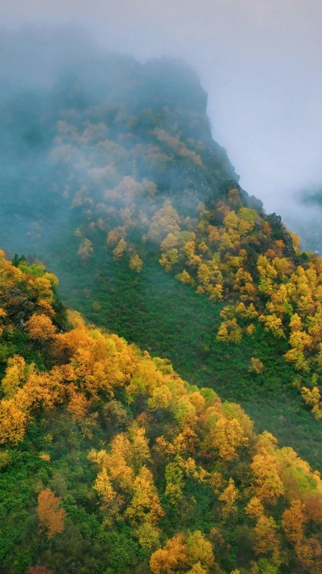 山河已秋｜祁連山冰溝河景區。