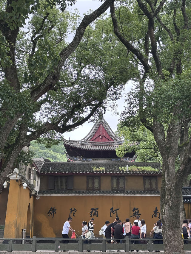 海天佛國，普陀山第一大寺——普濟寺。