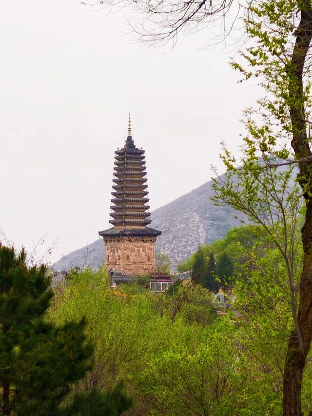 遼寧朝陽鳳凰山｜第一隻鳥飛起的地方。