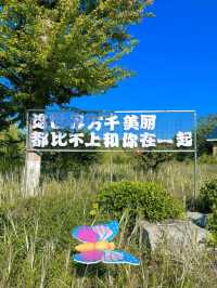 煙台寶媽的遛娃好去處，現實版莫奈花園。
