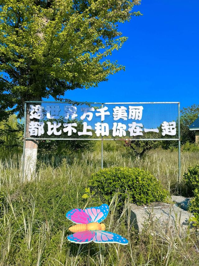煙台寶媽的遛娃好去處，現實版莫奈花園。