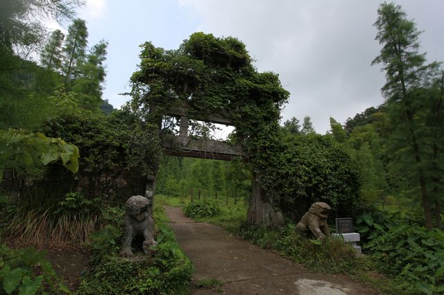 北宋華林書院——湮沒在荒蕪中的歷史。