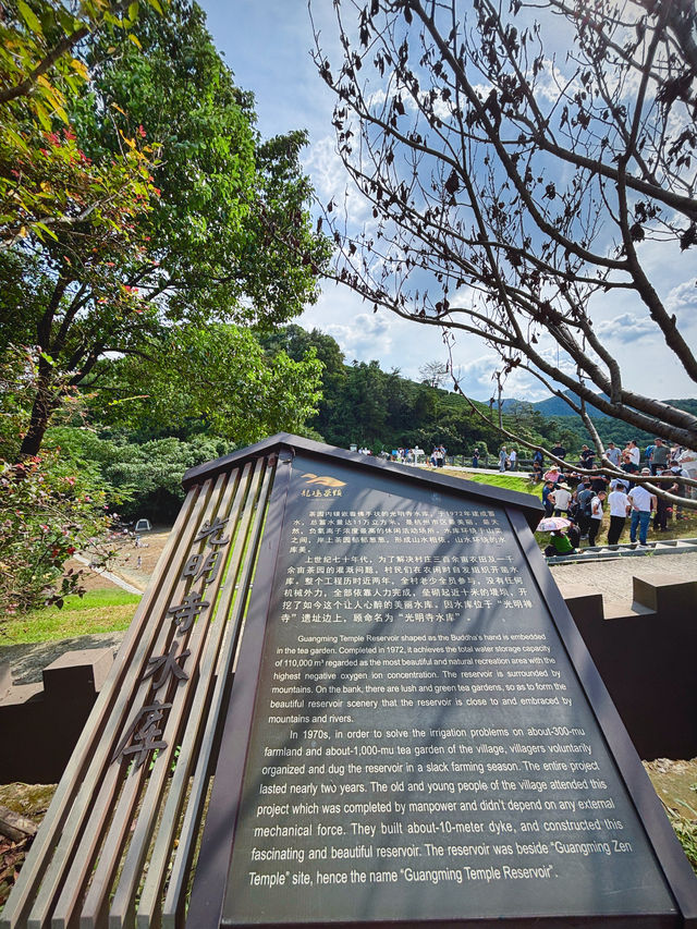 杭州光明寺：邂逅禪意，靜享時光。