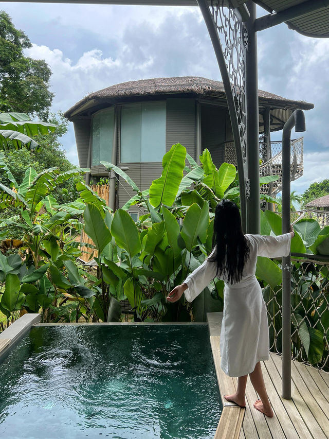 15張圖帶你去住 Instagram 上爆紅的布吉樹屋！