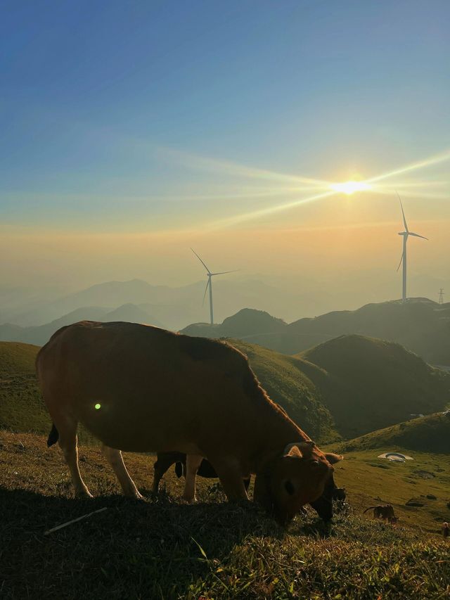《廣西小眾露營地——北流四勝頂，邂逅自然之美》。