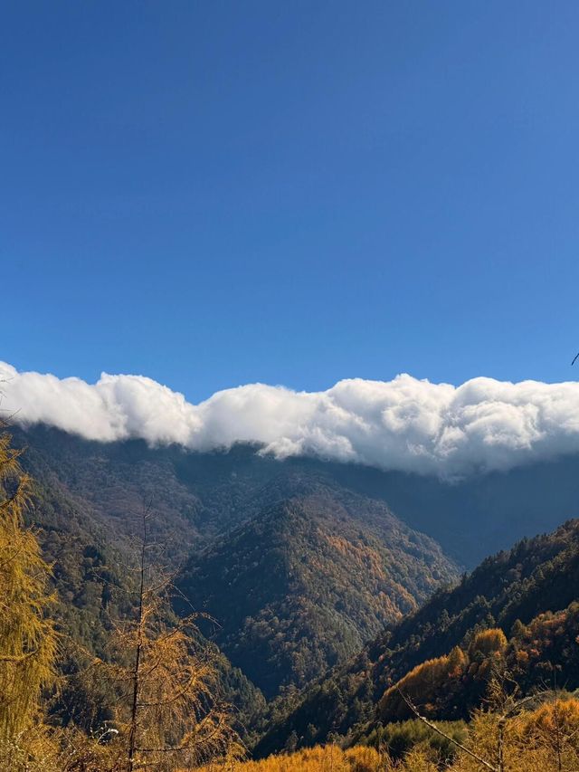 成都周邊徒步 賞秋小眾地方。
