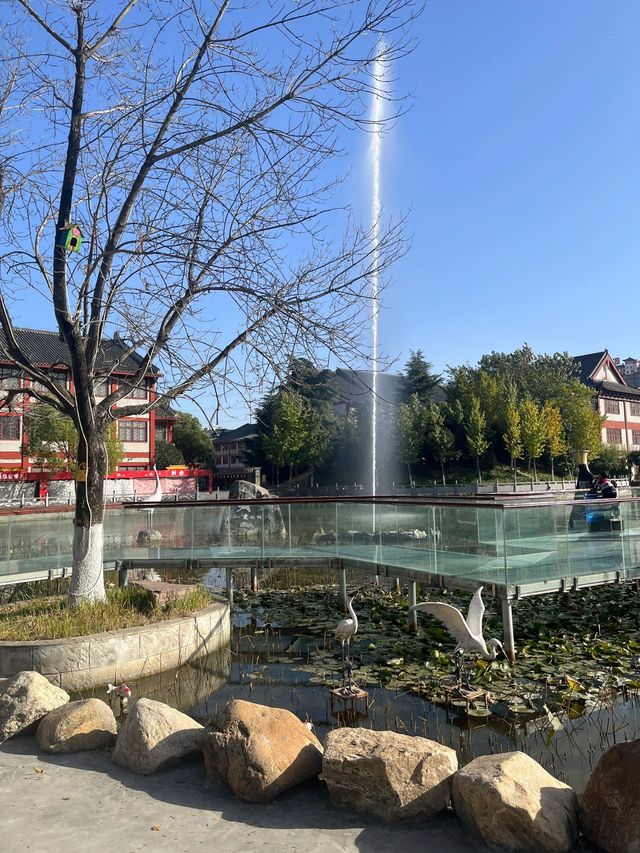 河南漯河神州鳥園｜去了不後悔的鳥園。