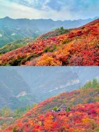 徒步坡峰嶺｜宛如上帝打翻了調色盤。