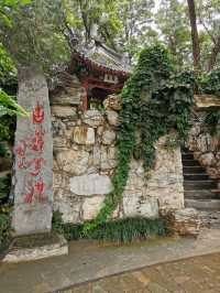 【河北保定】古蓮花池。。