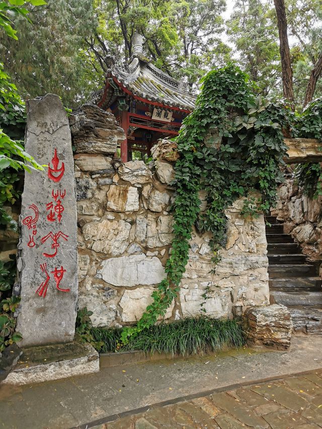 【河北保定】古蓮花池。。