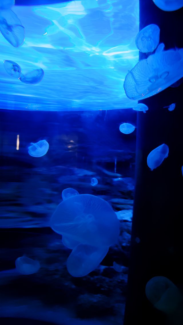 浙江自科安吉館，探索自然的奧秘。