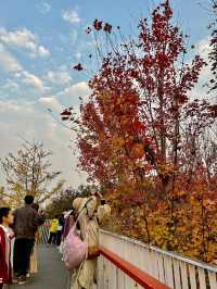 西安雁南公園|這裡的公園不一樣。