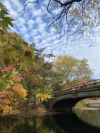 Autumn is the most beautiful season!! 