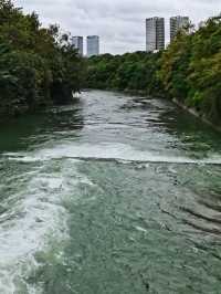 成都沙河公園 | 城市中的綠野仙蹤。