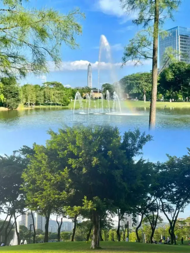 Xiangmi Park is the backyard of Shenzhen's wealthy district!