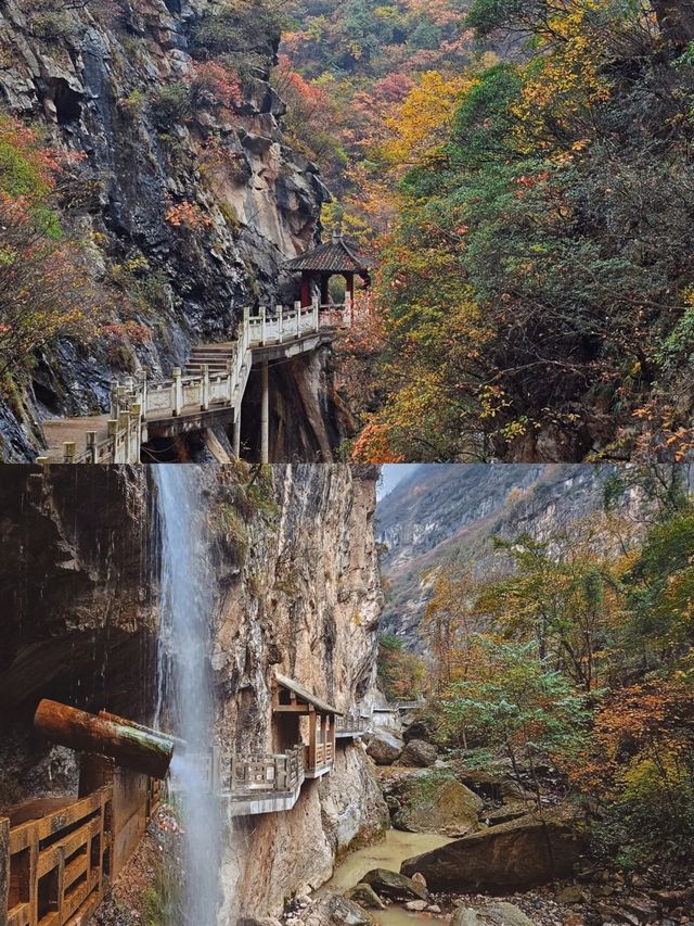 隴南十一月，詩意之旅絕佳時節！。