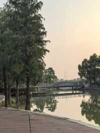 陳村新開發的公園！露營釣魚放風箏踩單車一園俱全