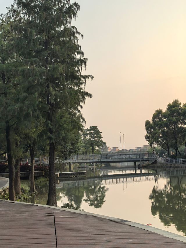 陳村新開發的公園！露營釣魚放風箏踩單車一園俱全