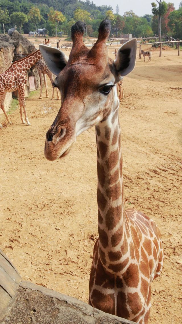 杭州野生動物園
