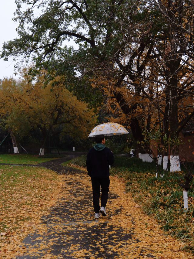 南京最低調的寺廟，雖在市區卻鮮為人知…