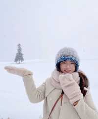 北海道的雪都是自帶浪漫屬性 ❄️