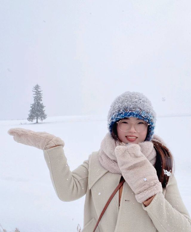 北海道的雪都是自帶浪漫屬性 ❄️