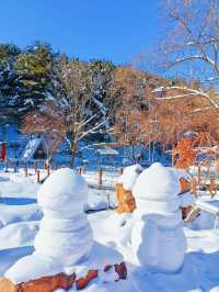對不起了雪鄉，與之相比這裡更是童話世界！