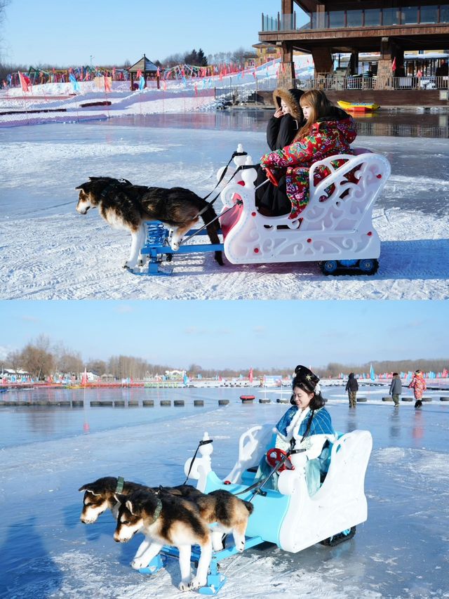 賓果戲雪王國，你一定不容錯過！！！