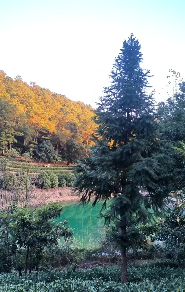Suzhou Weekend Hiking | Wangshan Glasses Line, Super Detailed Guide is Here