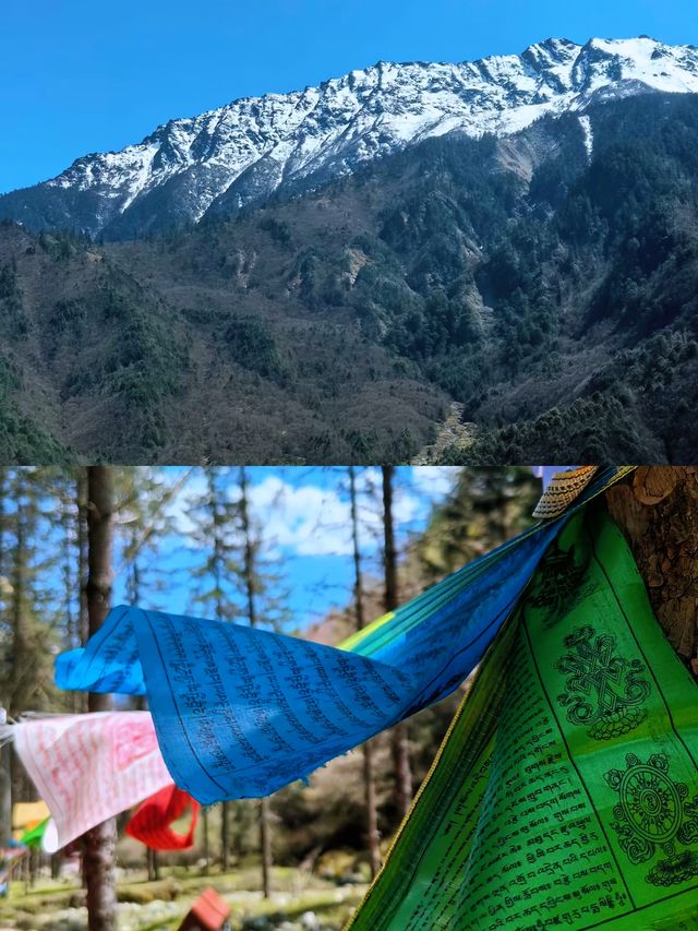 穿越千年的神秘之地——四川雅安神木壘