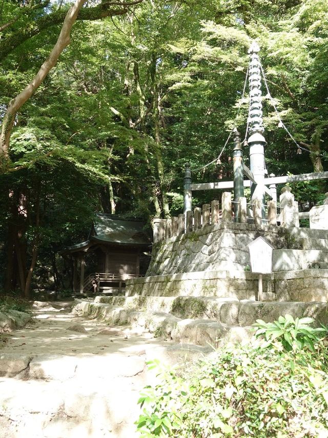 寒假去日本6日深度遊全攻略