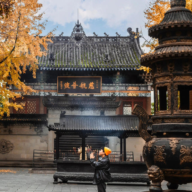 地鐵直達｜滿園金色，寶輪寺的銀杏黃了❗️||屬於重慶的冬日氛圍感已經拉滿