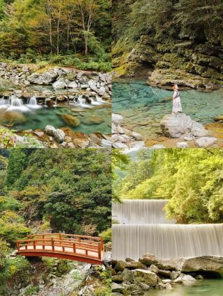高知市：隱匿在日本的寶藏之地