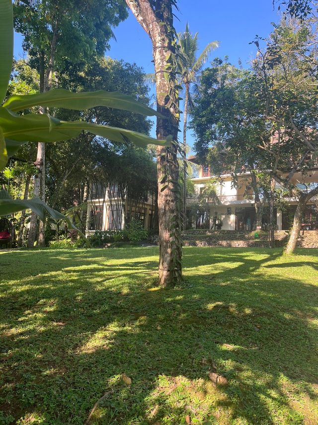 烏布的隱秘天堂 | Ubud Hidden Paradise   酒店：烏布坦加裕達考曼卡酒店 