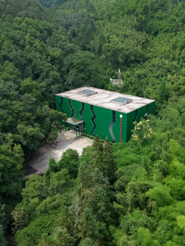 Xian'ning's secluded bamboo forest is like a paradise on earth