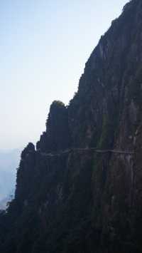 郴州莽山｜可以坐電梯的高山