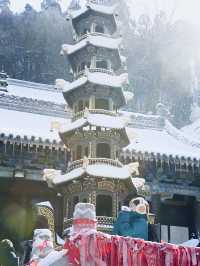 西安出發40分鐘 | 秦嶺冬日雪國秘境登高賞雪