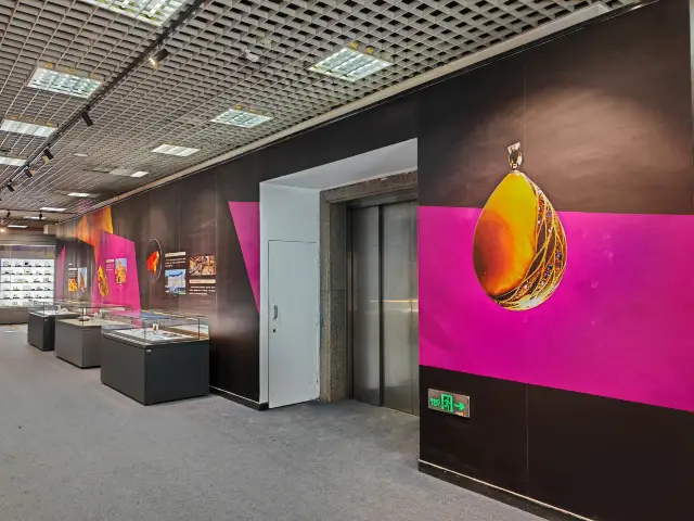 玉碗盛光——珍稀琥珀展