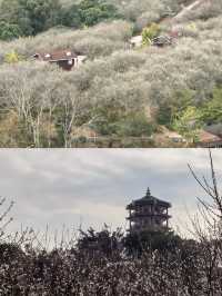 探秘廣西欽州越州天湖，美到窒息！