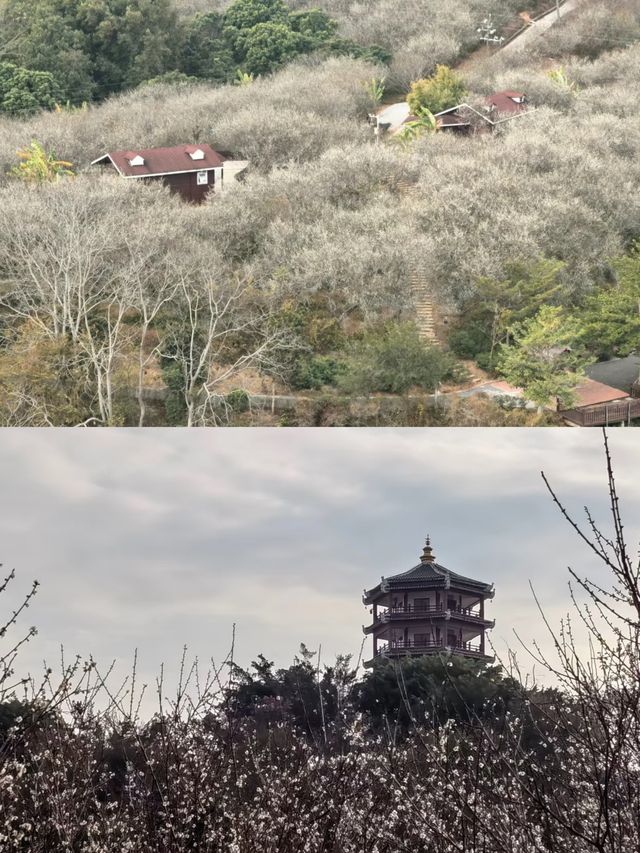 探秘廣西欽州越州天湖，美到窒息！