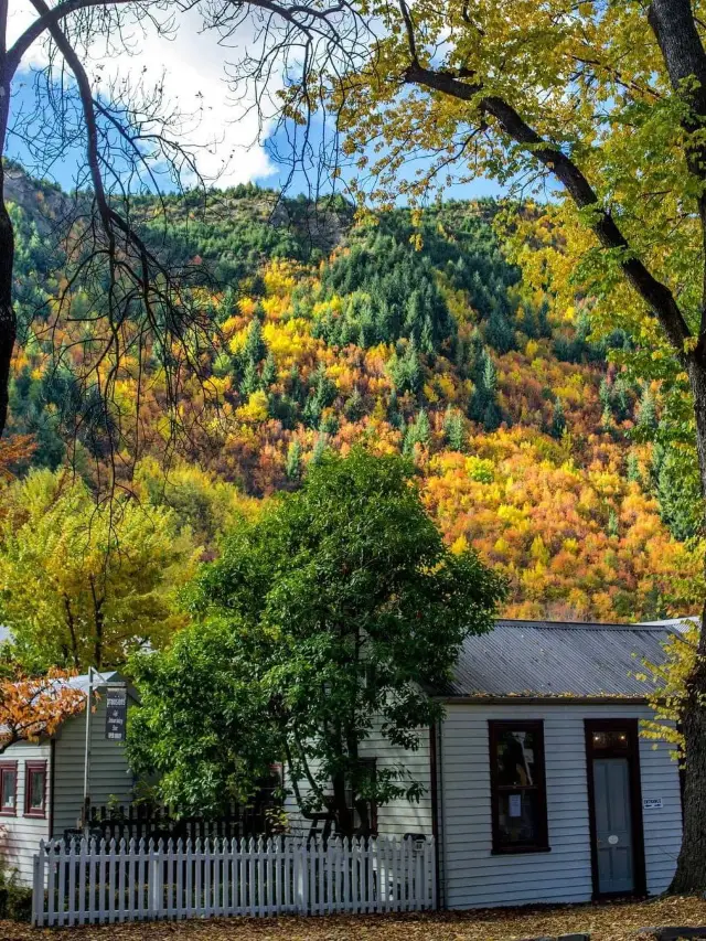 7-Day New Zealand Chinese New Year Tour