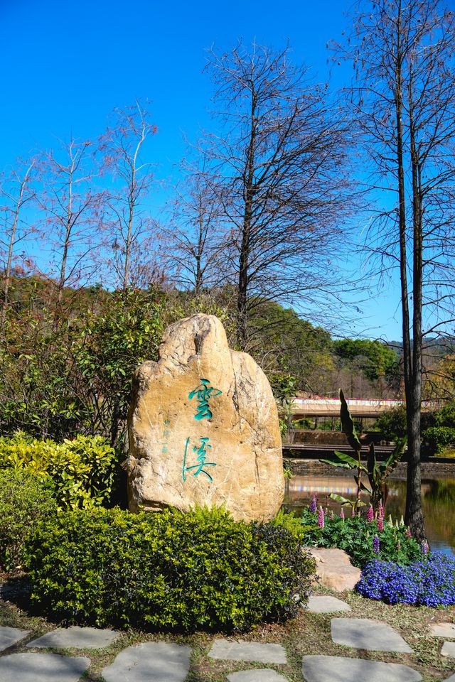 快來解鎖雲溪植物園的花花世界