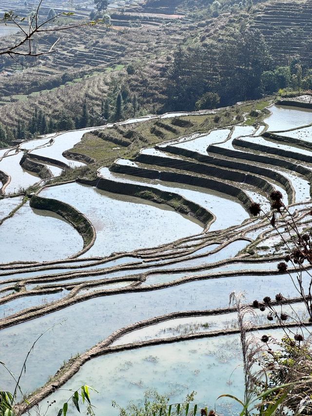 春節去紅河撒瑪壩梯田1日遊旅行攻略！！