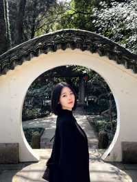 杭州又美出新高度